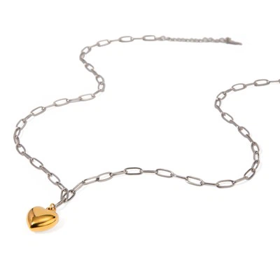 گردنبند گیره قلب دو رنگ